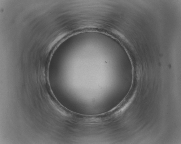 X0000076451113200610271817