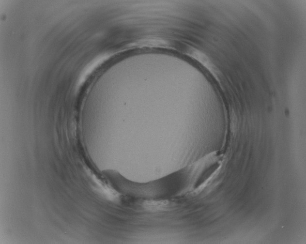 X0000076451115200610271817