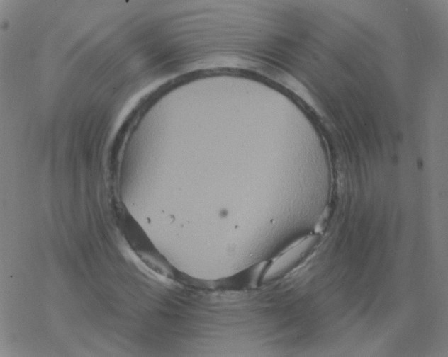 X0000076451116200610271817