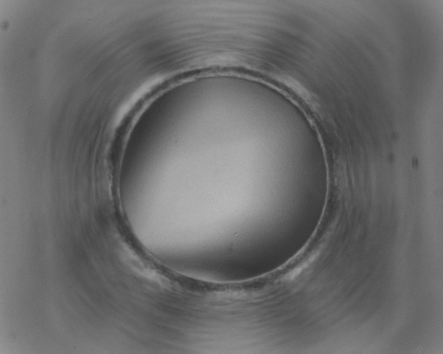 X0000076451118200610271817