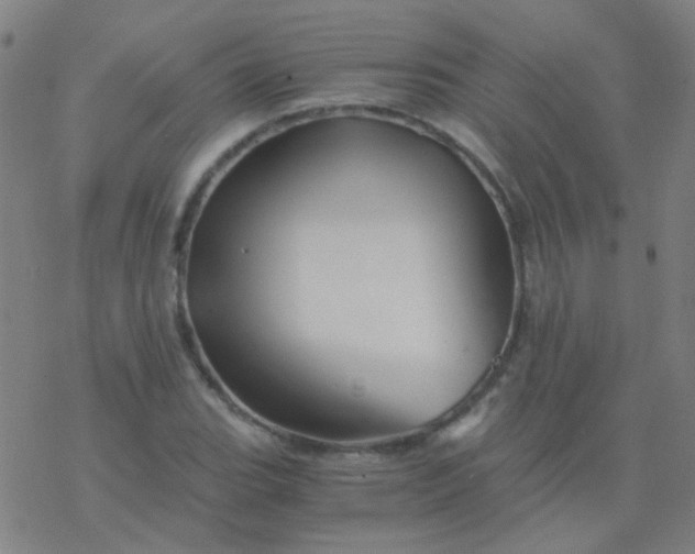 X0000076451119200610271817