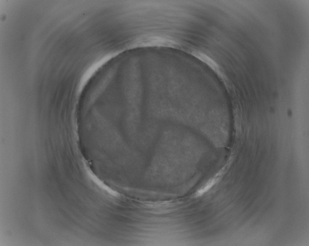 X0000076451120200610271817