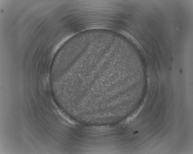 X0000076451121200610271817