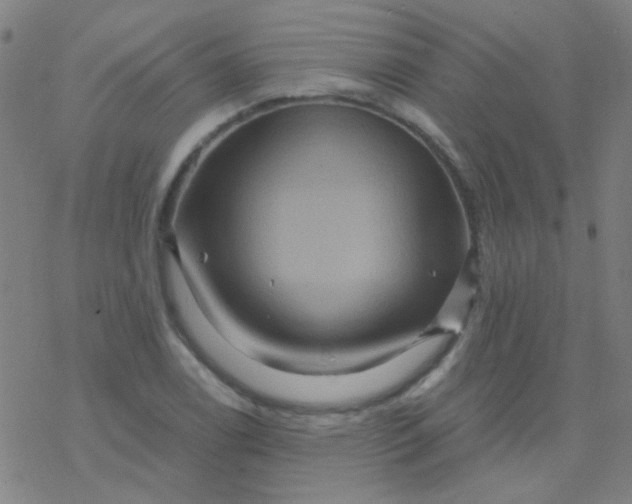 X0000076451122200610271817