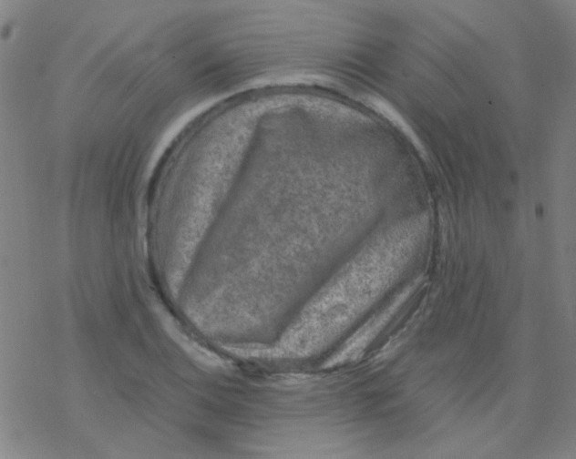 X0000076451124200610271817