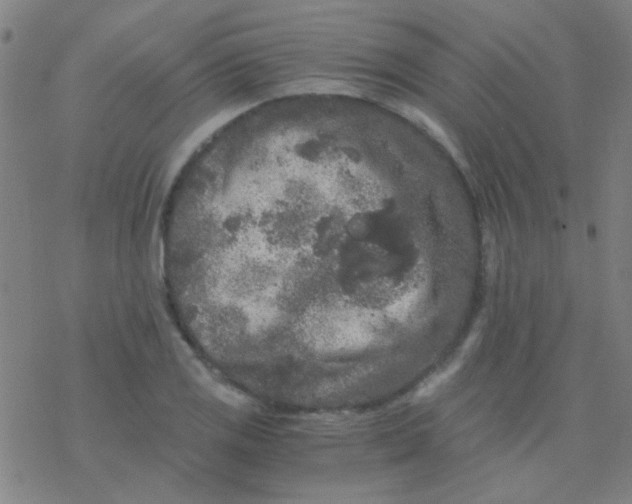 X0000076451125200610271817