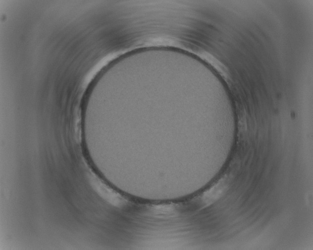 X0000076451126200610271817