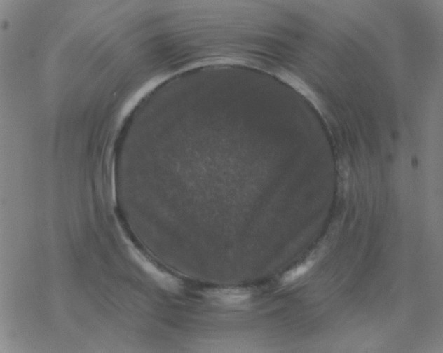 X0000076451127200610271817