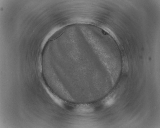 X0000076451128200610271817