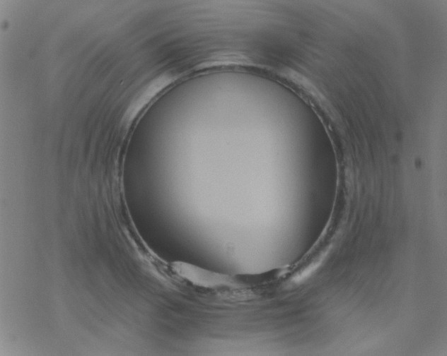 X0000076451129200610271817