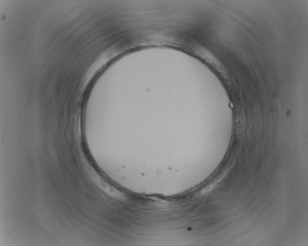 X0000076451130200610271817