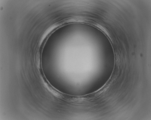 X0000076451131200610271817