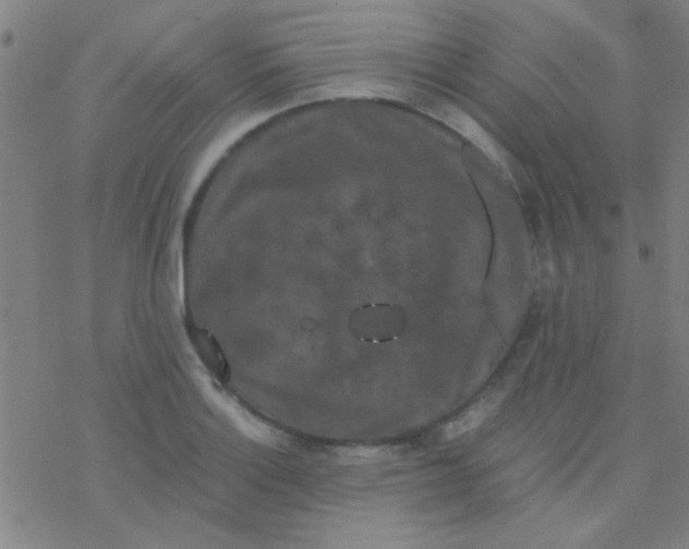 X0000076451132200610271817