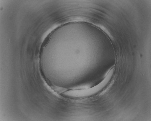 X0000076451134200610271817