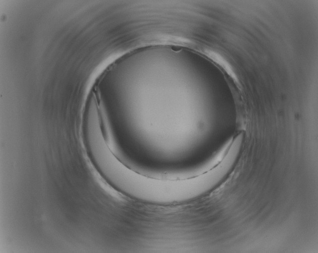 X0000076451136200610271817