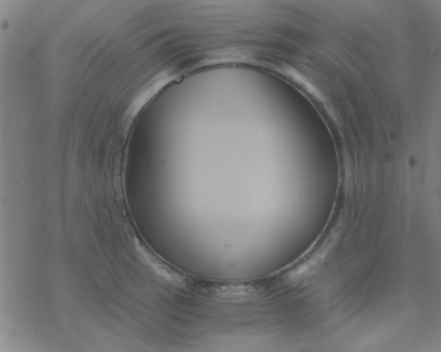 X0000076451137200610271817