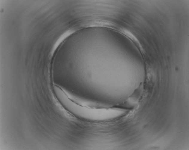 X0000076451138200610271817