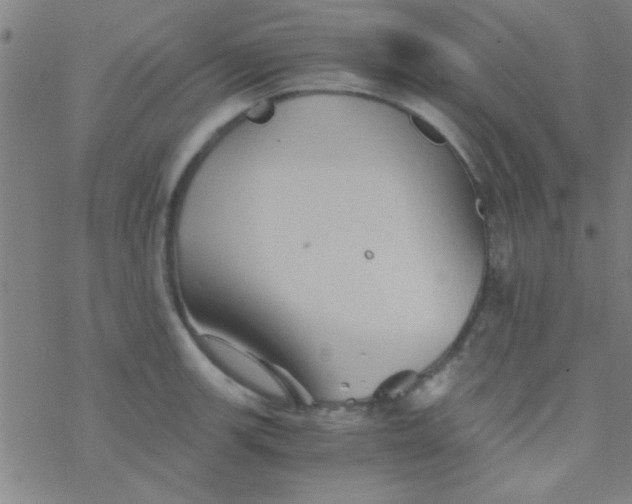 X0000076451139200610271817