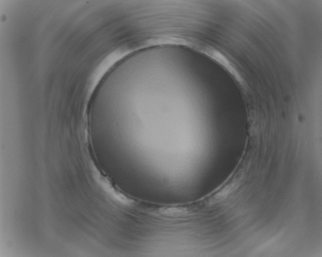 X0000076451140200610271817