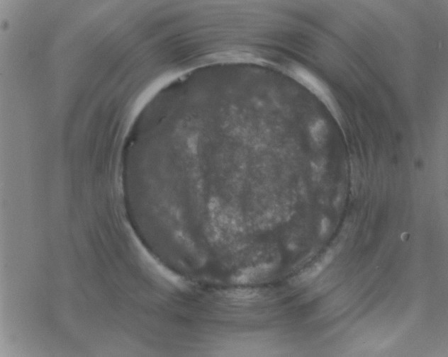 X0000076451141200610271817