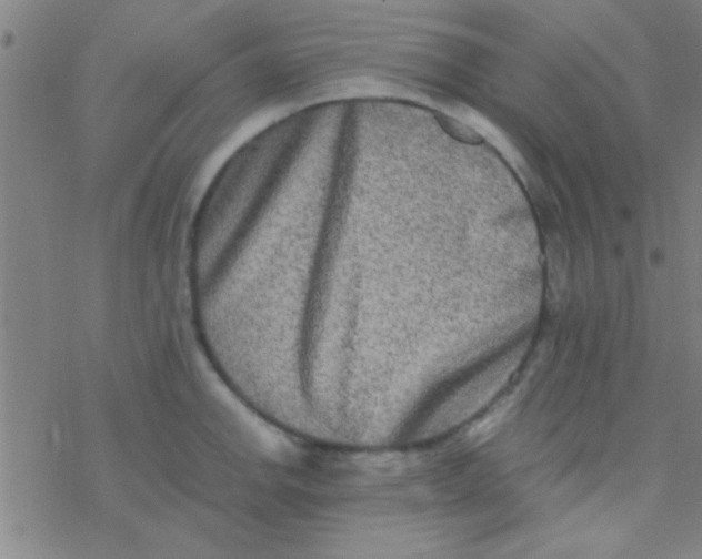 X0000076451142200610271817