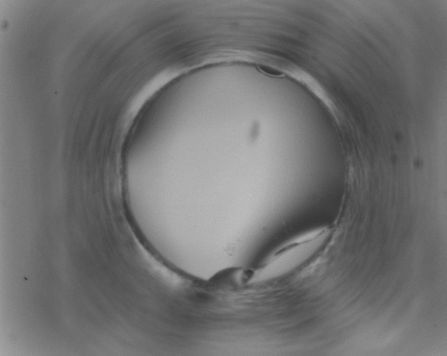 X0000076451143200610271817