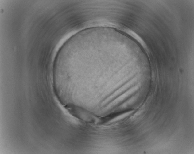 X0000076451144200610271817