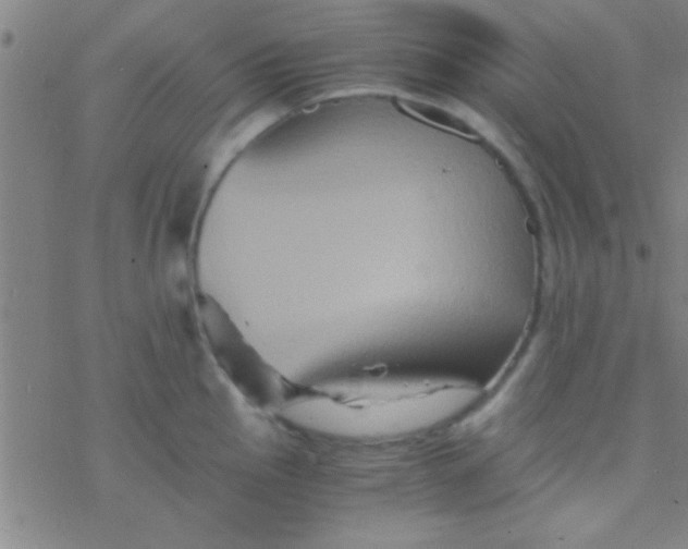 X0000076451145200610271817