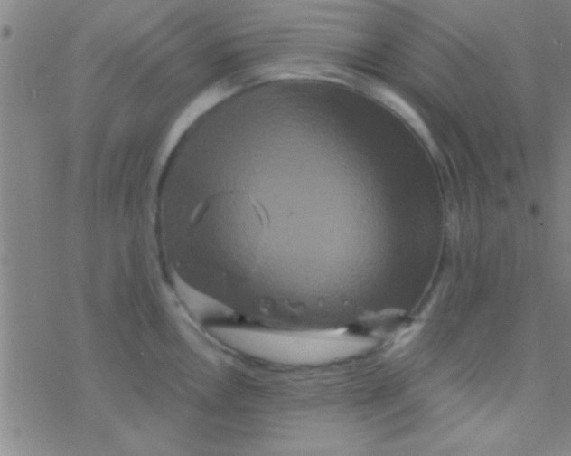 X0000076451146200610271817