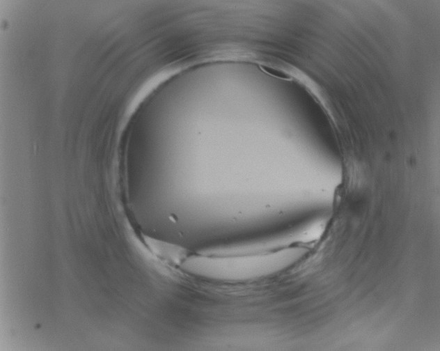 X0000076451147200610271817