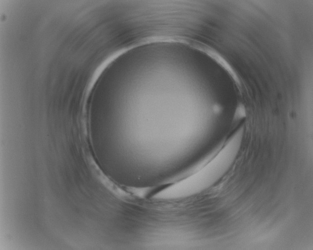 X0000076451148200610271817