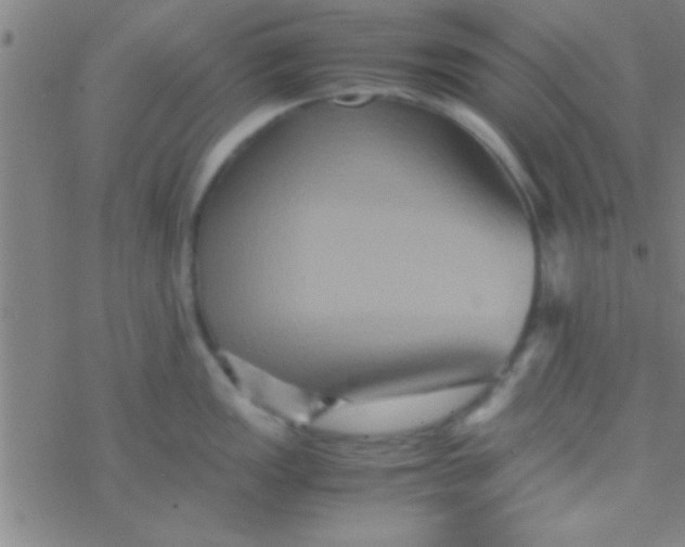 X0000076451149200610271817