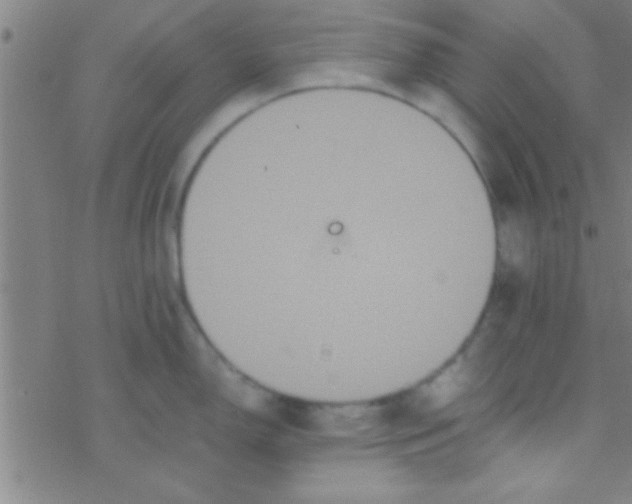 X0000076451150200610271817