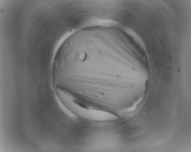 X0000076451152200610271817