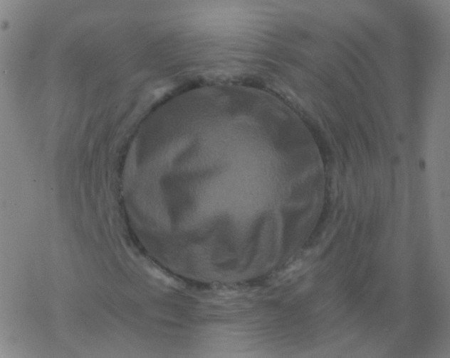 X0000076451153200610271817