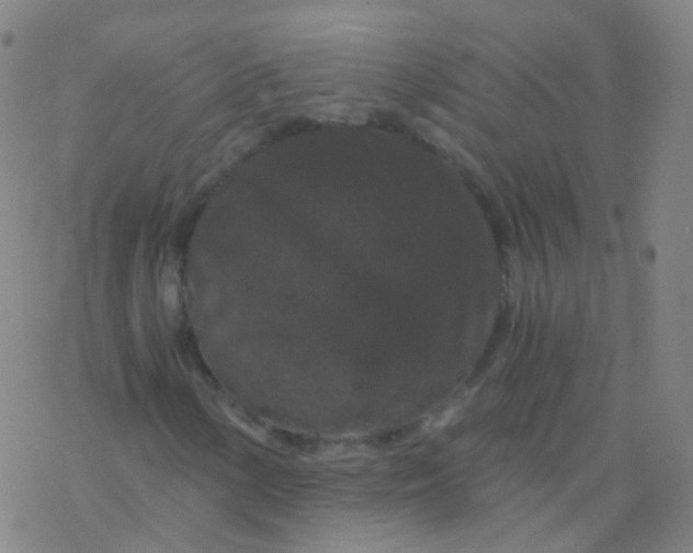 X0000076451154200610271817