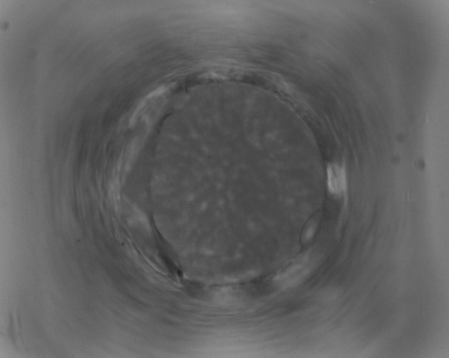 X0000076451155200610271817