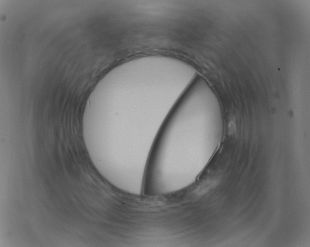 X0000076451156200610271817