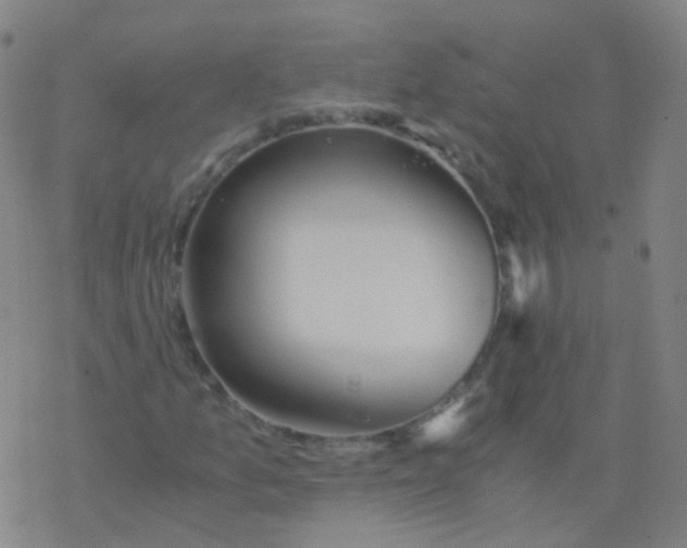 X0000076451157200610271817