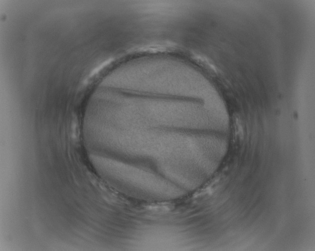 X0000076451158200610271817