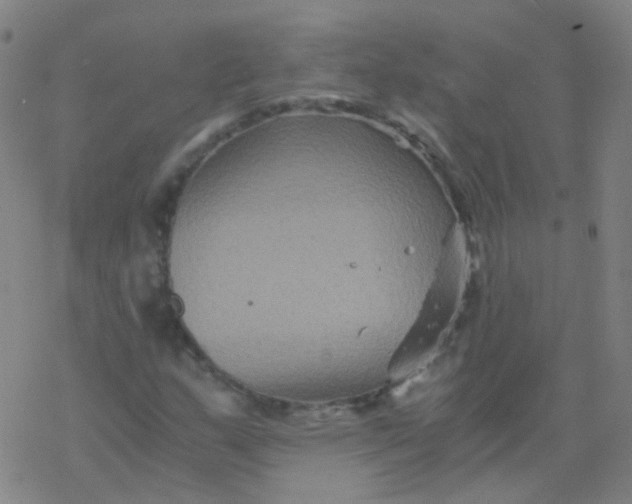 X0000076451159200610271817