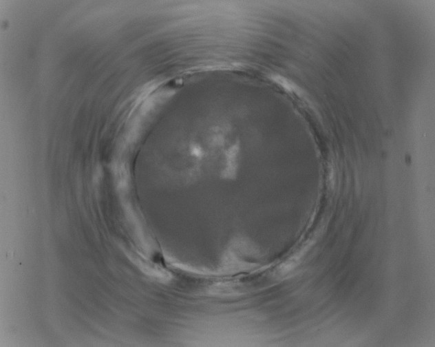 X0000076451161200610271817