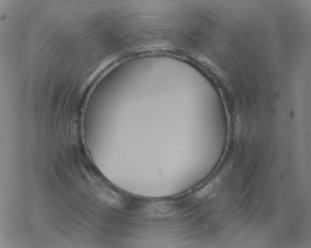 X0000076451162200610271817