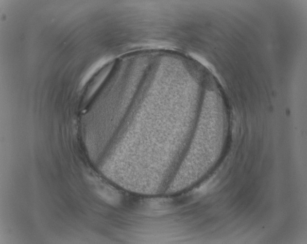 X0000076451163200610271817