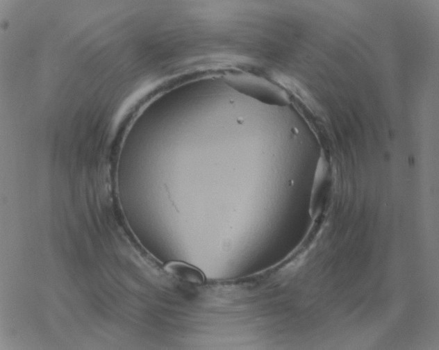 X0000076451164200610271816