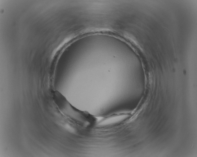 X0000076451165200610271816