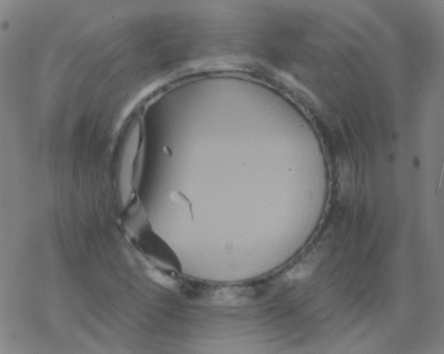 X0000076451166200610271816