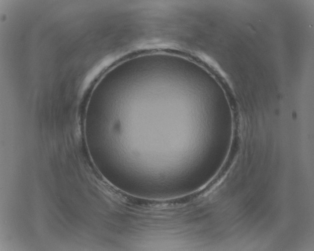 X0000076451167200610271816