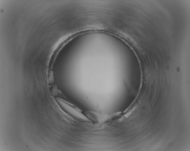 X0000076451168200610271816