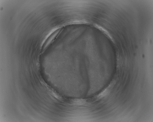 X0000076451170200610271816